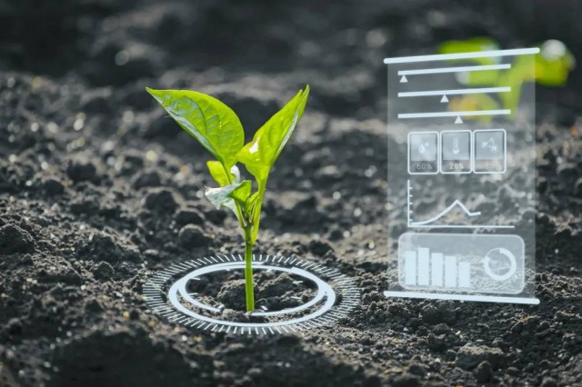 smart-agriculture